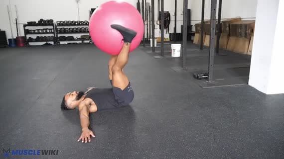 Stability Ball Windshield Wiper