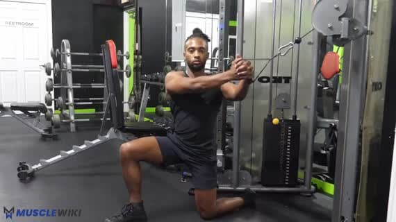 Cable Half Kneeling High To Low Wood Chopper