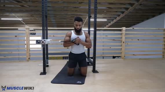 Cable Kneeling Pallof Press To Wood Chopper