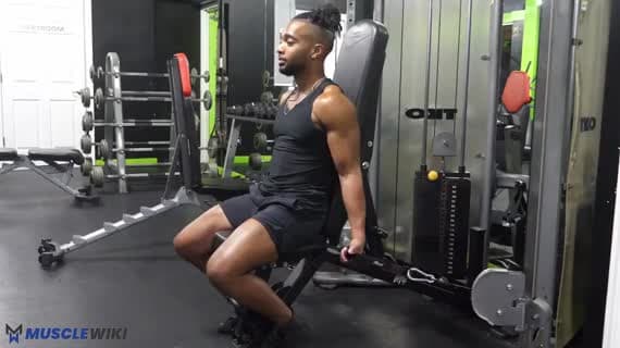 Cable Seated Bayesian Curl