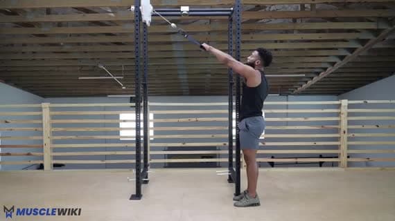 Cable Single Arm Face Pull