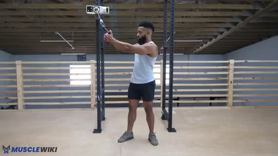 Cable Standing High To Low Wood Chopper