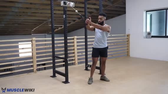 Cable Standing High To Low Wood Chopper