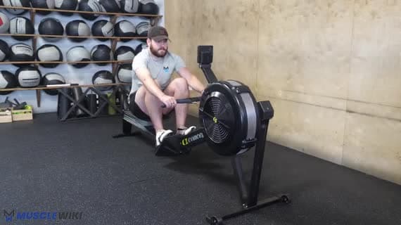 कार्डियो रोइंग (रोअर/एर्गोमीटर) — चार स्ट्रोक स्प्रिंट स्टार्ट