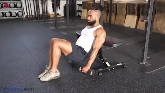 Dumbbell Bench Braced Reverse Incline Curl