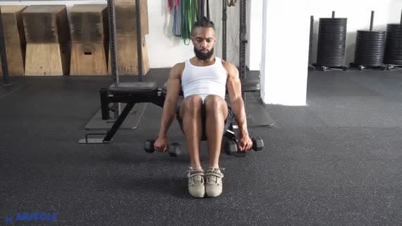 Dumbbell Bench Braced Reverse Incline Curl