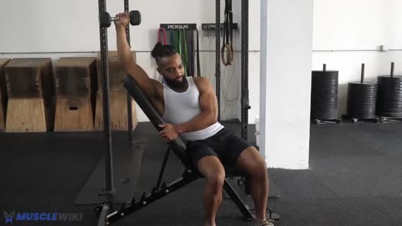 डम्बल बेंच ब्रेस्ड सिंगल आर्म ओवरहेड ट्राइसेप एक्सटेंशन