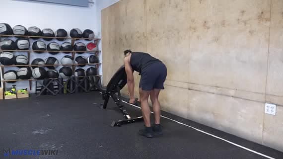 پرواز دلت عقبی با دمبل روی نیمکت