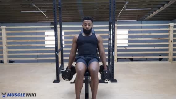 Dumbbell Incline Twisting Curl