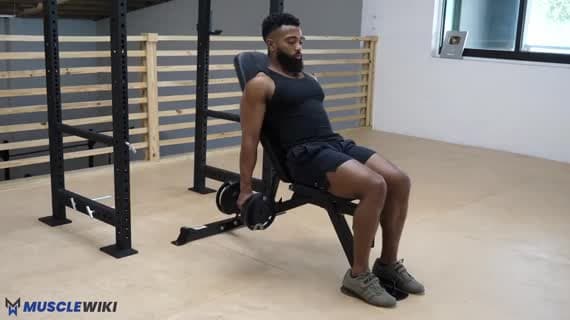 Dumbbell Incline Twisting Curl