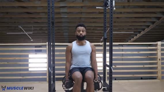 Dumbbell Seated Full Lateral Raise