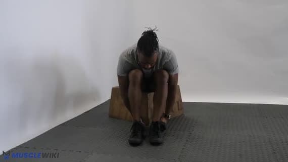 رفرفة خلفية للكتف بالدمبل (جالس)