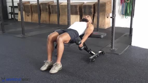 Dumbbell Single Arm Bench Braced Hammer Flat Curl