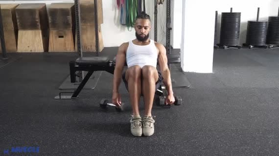 Curl a inclinazione inversa su panca con braccio singolo e manubrio