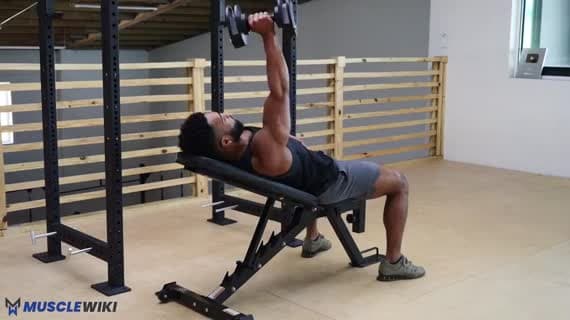 Dumbbell Single Arm Incline Chest Press
