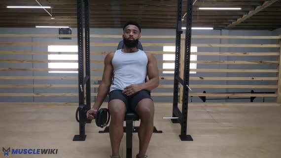 Dumbbell Single Arm Incline Curl