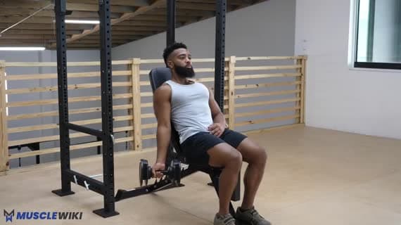 Dumbbell Single Arm Incline Curl