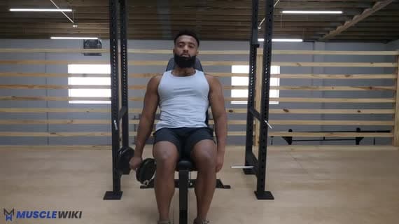 Dumbbell Single Arm Incline Reverse Curl
