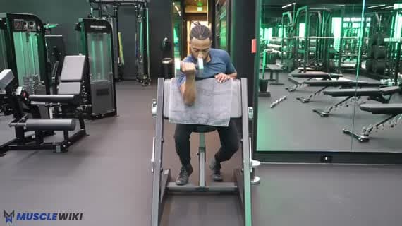 تمرين بايسبس على مقعد البريشر بالدمبل (ذراع واحدة)