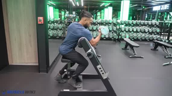 تمرين بايسبس على مقعد البريشر بالدمبل (ذراع واحدة)