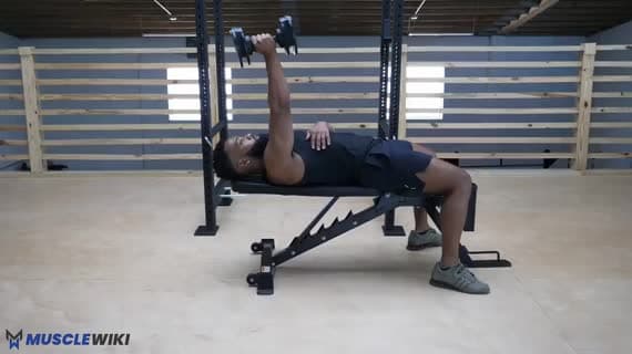 Dumbbell Single Arm Skullcrusher