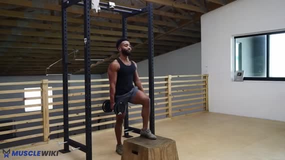 Dumbbell Single Arm Step Up Knee Drive