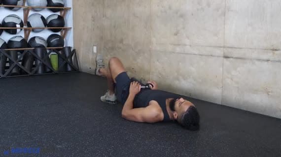 Dambıllı Tek Bacak Kalça Köprüsü