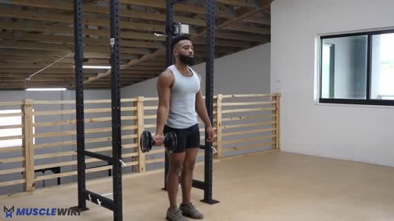 Dumbbell Standing Single Arm Curl