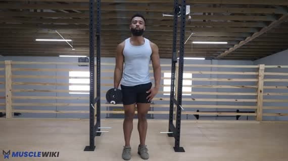 Dumbbell Standing Single Arm Hammer Curl