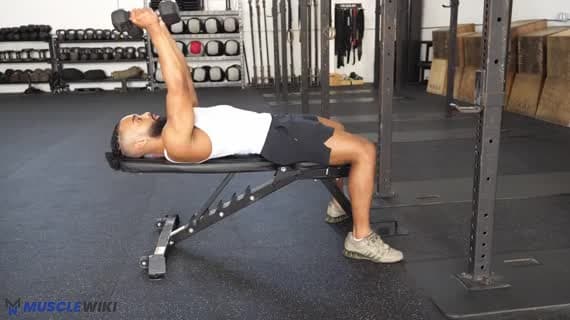 Kurzhantel-Trizeps-Guillotine-Drücken