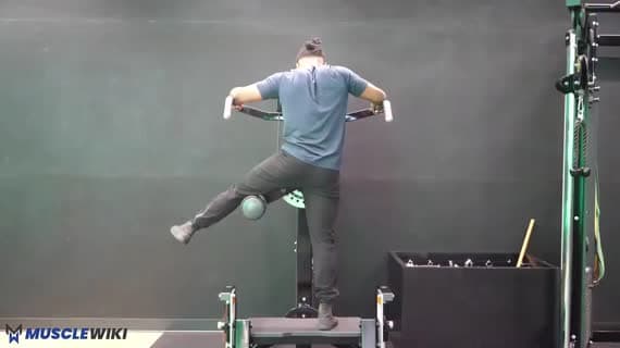 मशीन हिप और ग्लूट एडक्शन