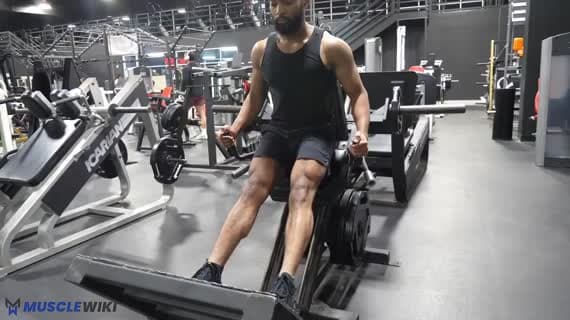 دستگاه بلند کردن ساق پا با وزنه پلیت