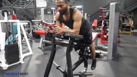 Machine Plate Loaded Kneeling Hamstring Curl