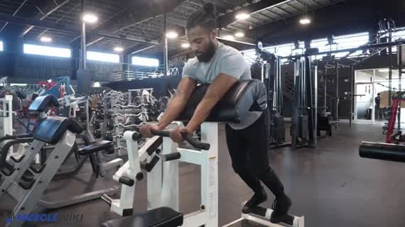 Maszyna stojąca do uginania ramion z obciążeniem na talerzach