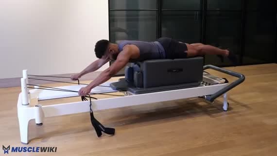 Arms Pulling Straps Plow Prone On The Box