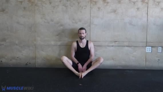 Adductor Stretch Seated Bilateral Static