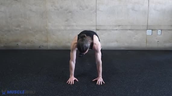 Texto: Estabilidade do Core 4 Levantamento Cruzado de Membros em Posição de Flexão