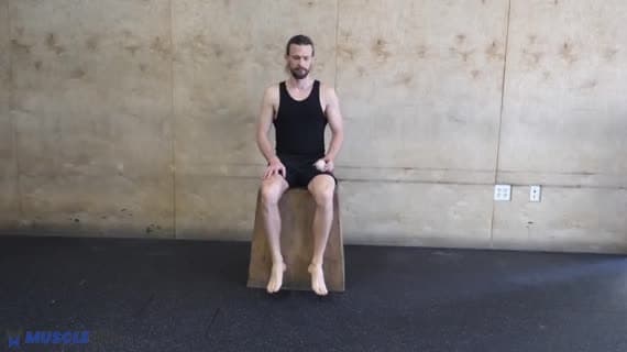Hamstring Mobilisation Seated Lacrosse Ball