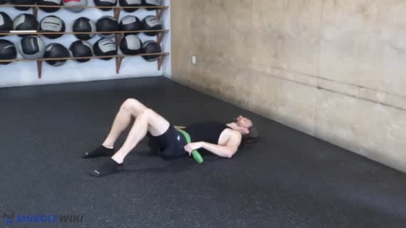 Hamstring Stretch Supine Static