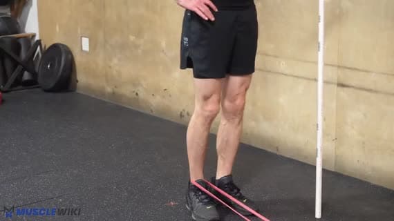 Band Glute Kickback Hold