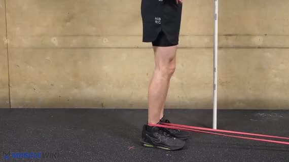 Band Glute Kickback Hold