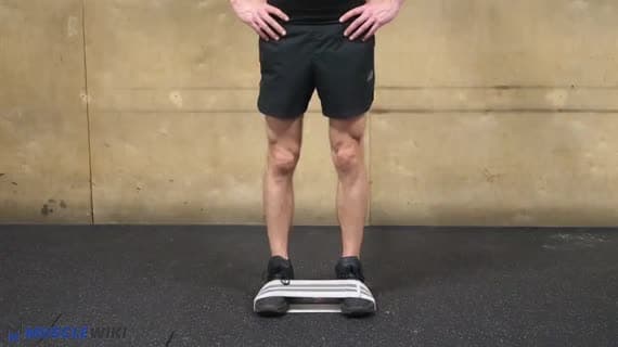 Metin: Ayakta Mini-Bant Kalça Fleksiyonu