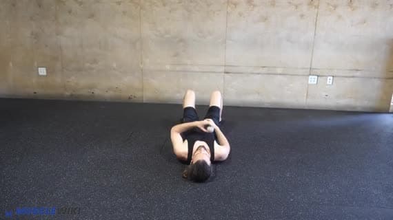 Masaje con pelota para la movilización del elevador de la escápula en posición acostada