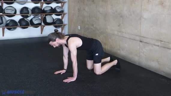 Сгибания и разгибания грудного отдела