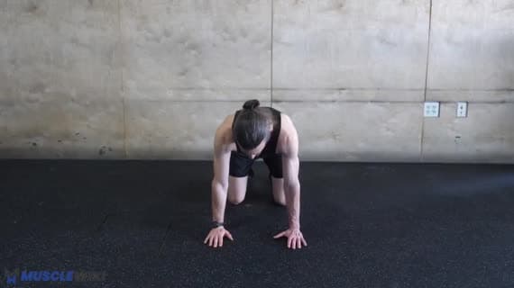 Сгибания и разгибания грудного отдела