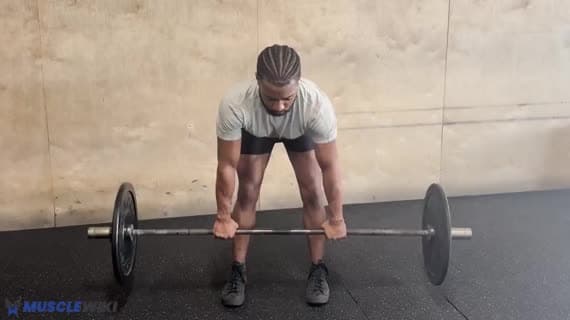 Barbell Pronated Row