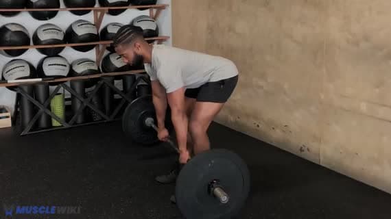 Barbell Pronated Row