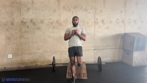 Körpergewichts-Rückwärts-Step-Up