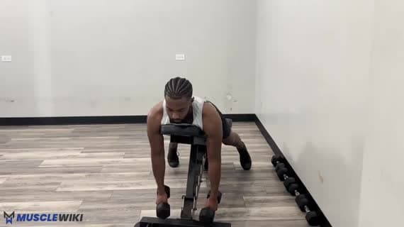 Dumbbell Laying Reverse Fly