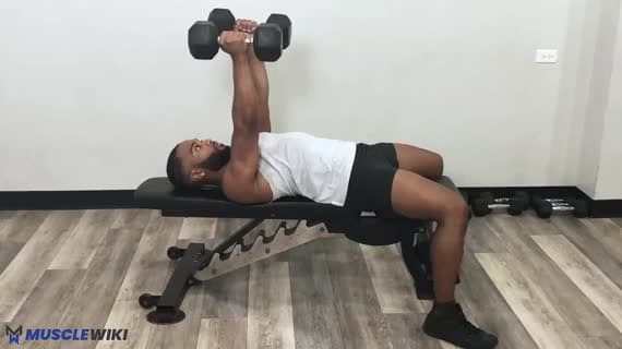 Dumbbell Neutral Bench Press